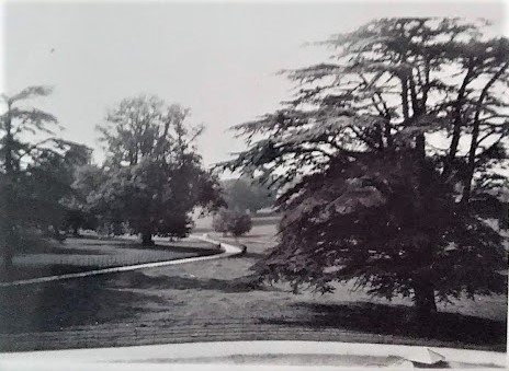Gardens of Kingston Maurward 1955/6