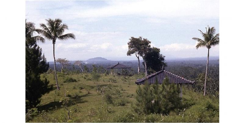 Joe Palmer - Pavilions near Borobudur