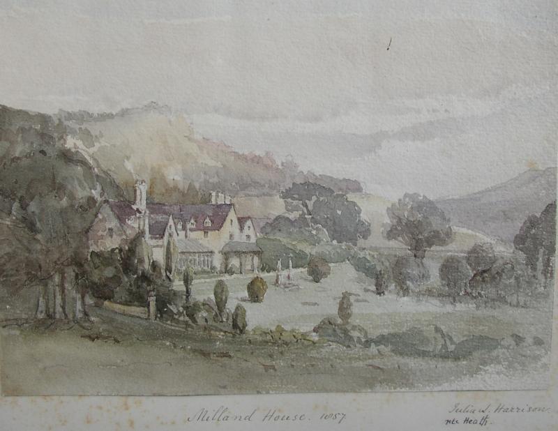 Milland drawing 2