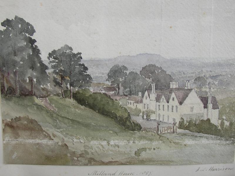 Milland drawing 1