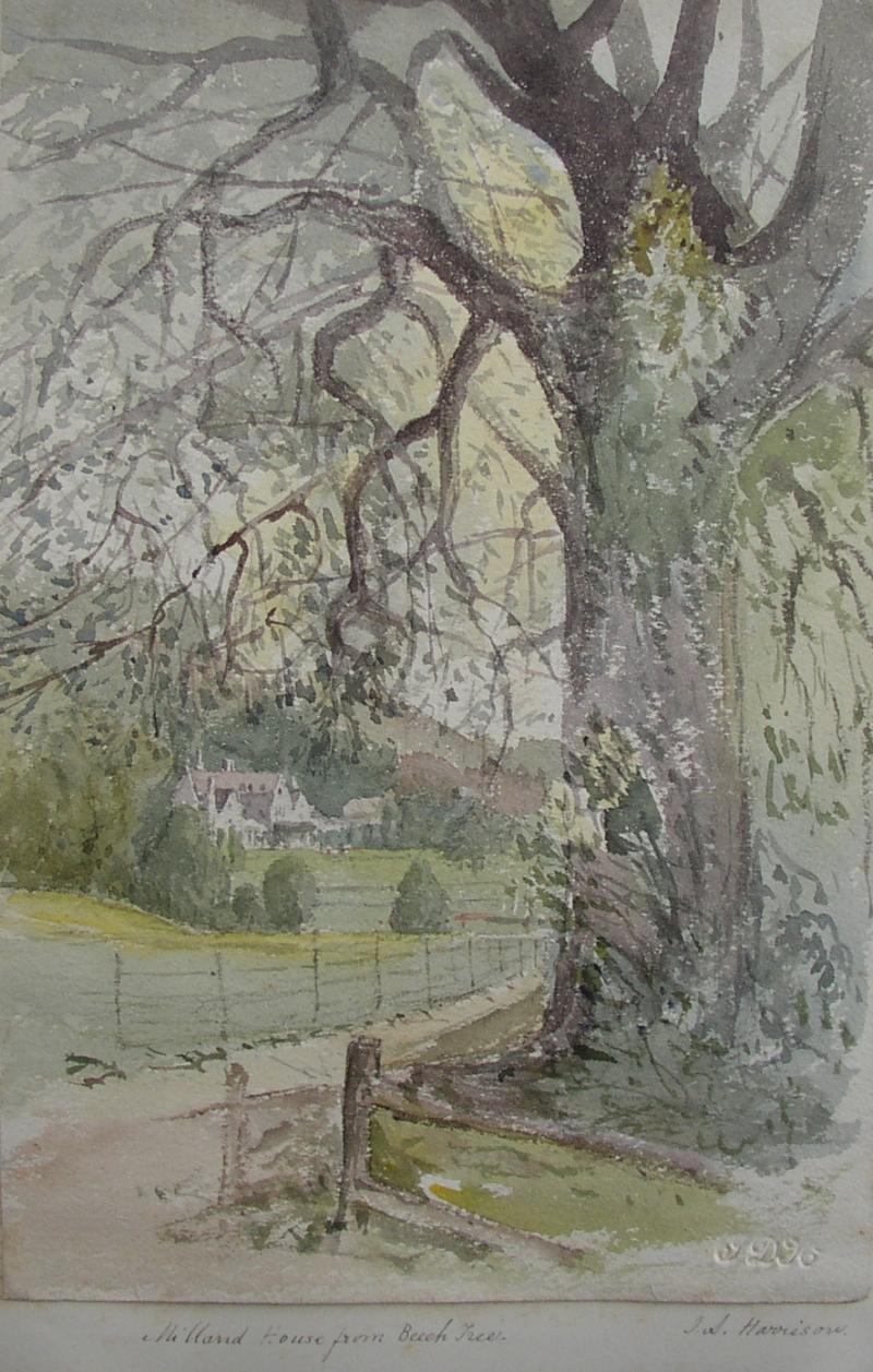 Milland drawing 4