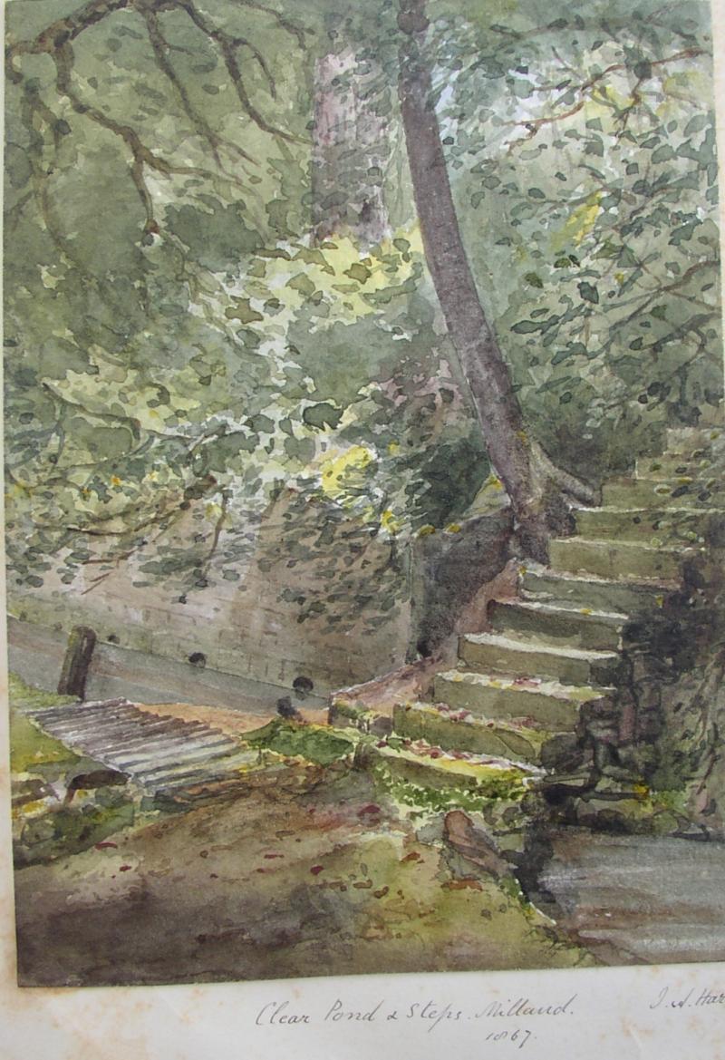 Milland Drawing 5