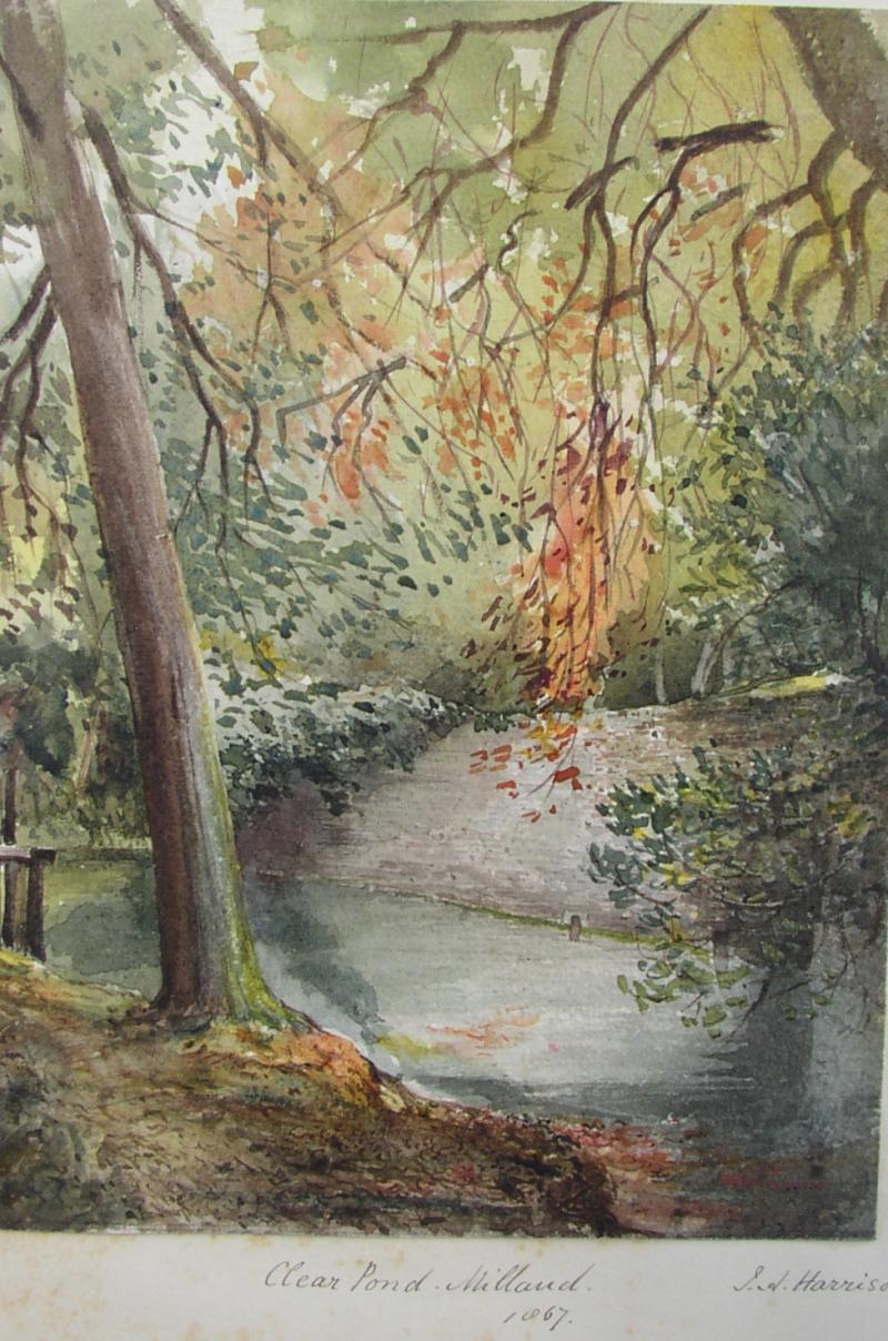 Milland drawing 6
