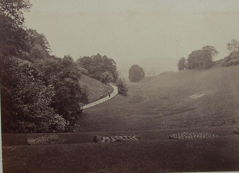Milland drive